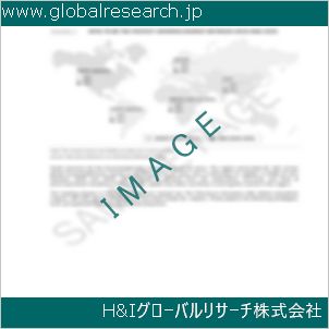 グローバルリサーチ調査資料のイメージ